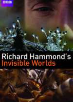 Watch Richard Hammond's Invisible Worlds Watch123movies