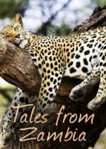 Watch Tales from Zambia Watch123movies