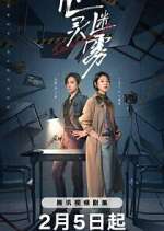 Watch Lies Never Lie Watch123movies