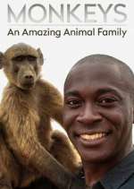Watch Monkeys: An Amazing Animal Family Watch123movies