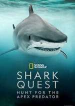 Watch Shark Quest: Hunt For The Apex Predator Watch123movies