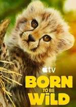 Watch Born to Be Wild Watch123movies