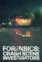 Watch Forensics: Crash Scene Investigators Watch123movies