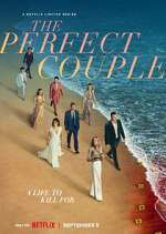 Watch The Perfect Couple Watch123movies