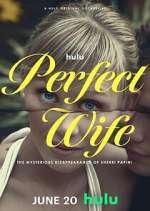 Watch Perfect Wife: The Mysterious Disappearance of Sherri Papini Watch123movies
