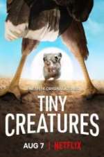 Watch Tiny Creatures Watch123movies