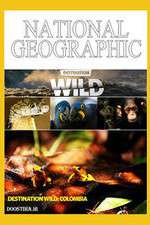 Watch Destination Wild: Colombia Watch123movies