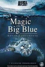 Watch The Magic of the Big Blue Watch123movies