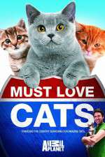 Watch Must Love Cats Watch123movies