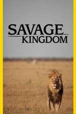 Watch Savage Kingdom Watch123movies