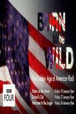 Watch Born to Be Wild: The Golden Age of American Rock Watch123movies
