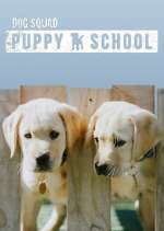 Watch Dog Squad: Puppy School Watch123movies