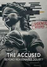 Watch The Accused: Beyond Reasonable Doubt? Watch123movies