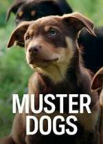 Watch Muster Dogs Watch123movies