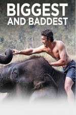 Watch Biggest and Baddest Watch123movies