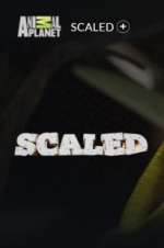 Watch Scaled Watch123movies
