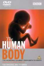 Watch The Human Body Watch123movies