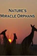 Watch Nature's Miracle Orphans Watch123movies