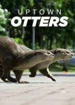 Watch Uptown Otters Watch123movies