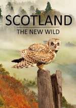 Watch Scotland - The New Wild Watch123movies
