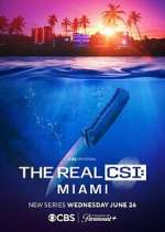 Watch The Real CSI: Miami Watch123movies