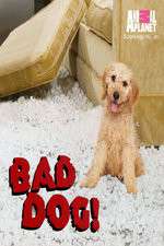 Watch Bad Dog! Watch123movies