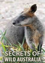 Watch Secrets of Wild Australia Watch123movies