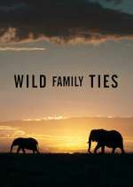Watch Wild Family Ties Watch123movies