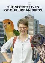 Watch The Secret Lives of Our Urban Birds Watch123movies