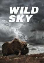 Watch Wild Sky Watch123movies