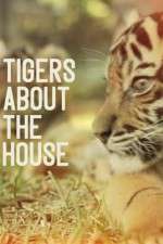 Watch Tigers About the House Watch123movies