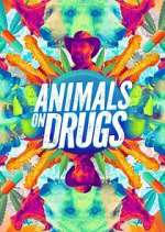 Watch Animals on Drugs Watch123movies