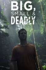 Watch Big, Small & Deadly Watch123movies