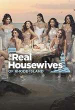 the real housewives of rhode island tv poster