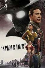 Watch Spider-Noir Watch123movies