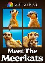 Watch Meet the Meerkats Watch123movies