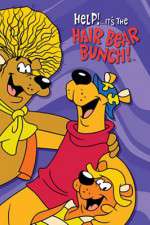 Watch Help!... It's the Hair Bear Bunch Watch123movies
