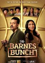 Watch The Barnes Bunch Watch123movies