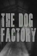 Watch The Dog Factory Watch123movies