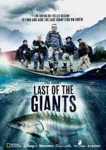 Watch Last of the Giants: Wild Fish Watch123movies