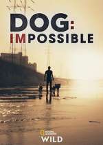 Watch Dog: Impossible Watch123movies