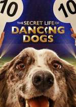 Watch The Secret Life of Dancing Dogs Watch123movies