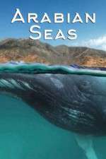 Watch Arabian Seas Watch123movies
