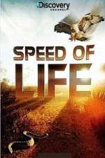 Watch Discovery Channel Speed Of Life Watch123movies