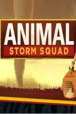 Watch Animal Storm Squad Watch123movies