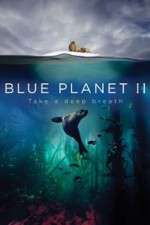 Watch Blue Planet II Watch123movies