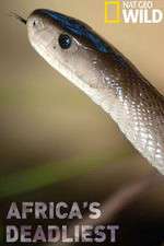 Watch Africas Deadliest Watch123movies