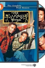 Watch The Wayans Bros Watch123movies