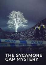 Watch The Sycamore Gap Tree Mystery Watch123movies