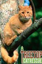Watch Treetop Cat Rescue Watch123movies